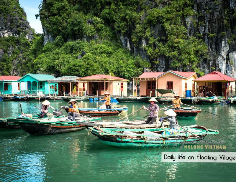Signature Royal Halong Cruise 